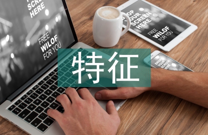 企業財務戰略的特征