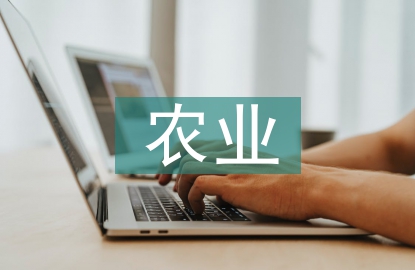 農(nóng)業(yè)農(nóng)村發(fā)展存在的問題