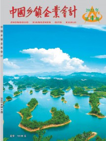 中國鄉鎮企業會計雜志