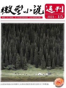 微型小說(shuō)選刊