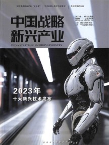 中國(guó)戰(zhàn)略新興產(chǎn)業(yè)