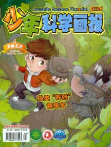 少年科學畫報