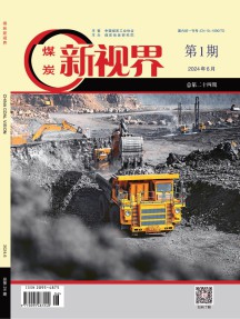 煤炭新視界